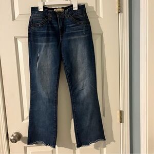 Democracy Ab Blue Denim Jeans